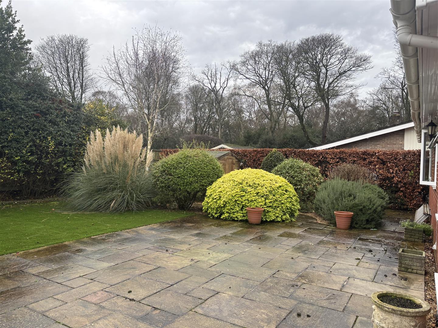 Pereers Garden 4.jpg